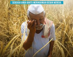 Campaign featured image